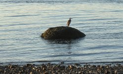 IMG_3608.jpeg