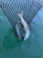 IMG_4763.jpeg IMG_4763.jpeg