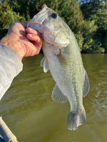 IMG_7255.jpeg