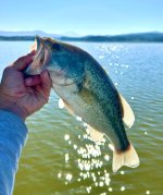 IMG_7266.jpeg