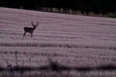 DSC_4018.jpeg
