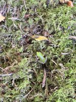 IMG_9494.jpeg