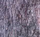 IMG_3613.jpeg