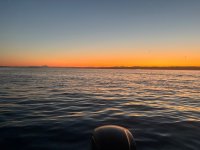 IMG_1432.jpeg IMG_1432.jpeg