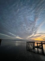 IMG_3567.jpeg