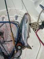 IMG_3970.jpeg IMG_3970.jpeg
