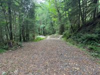 IMG_1961.jpeg
