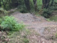 IMG_1963.jpeg