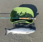 IMG_1233.jpeg IMG_1233.jpeg