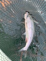 IMG_3996.jpeg IMG_3996.jpeg
