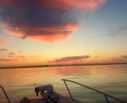 IMG_1452.jpeg IMG_1452.jpeg