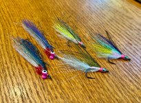 IMG_5231.jpeg