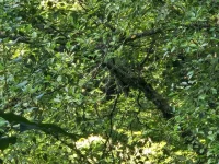 1000008384.webp