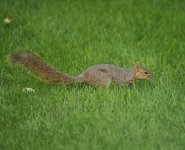 DSC00857.JPG