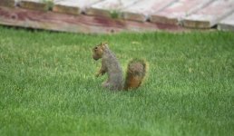 DSC00848.JPG