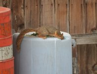 DSC00864.JPG