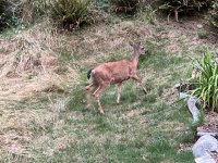 IMG_3651.jpeg