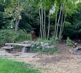 IMG_1952.jpeg