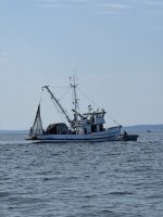 IMG_8570.jpeg IMG_8570.jpeg