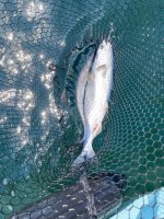 IMG_4063.jpeg