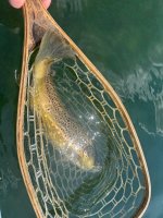 IMG_2713.jpeg