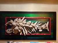 IMG_0142.jpeg