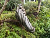 IMG_0146.jpeg