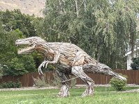 IMG_5959.jpg