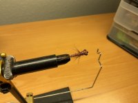 IMG_0176.jpeg