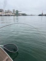 IMG_4830.jpeg IMG_4830.jpeg