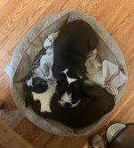 IMG_4840.jpeg