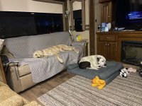 IMG_7473.jpeg