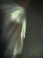 IMG_4964.jpeg IMG_4964.jpeg