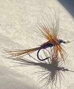 IMG_1784.jpeg