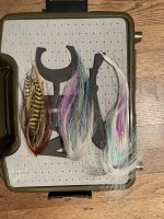 IMG_5040.jpeg IMG_5040.jpeg