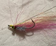 IMG_3724.jpeg