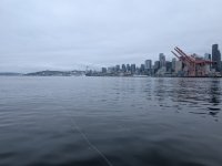 PXL_20250901_171907879.jpg PXL_20250901_171907879.jpg