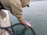 1000003956.jpg 1000003956.jpg