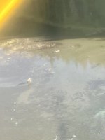 IMG_6781.jpeg