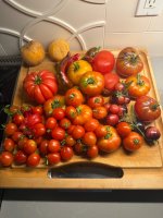 IMG_0222.jpeg