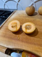 IMG_0221.jpeg