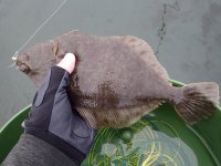 IMG_3732.jpeg