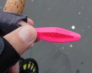 IMG_3737.jpeg