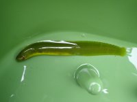 IMG_3735.jpeg