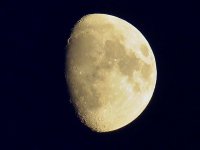 E6189FD7-07D1-4767-A2E9-56B7426AA94B.jpeg