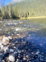 IMG_6806.jpeg