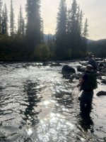 IMG_6815.jpeg