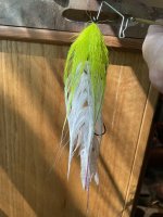 IMG_5045.jpeg