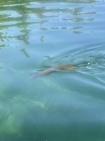 IMG_6826.jpeg