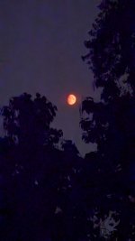 PXL_20250904_042831993.NIGHT.jpg